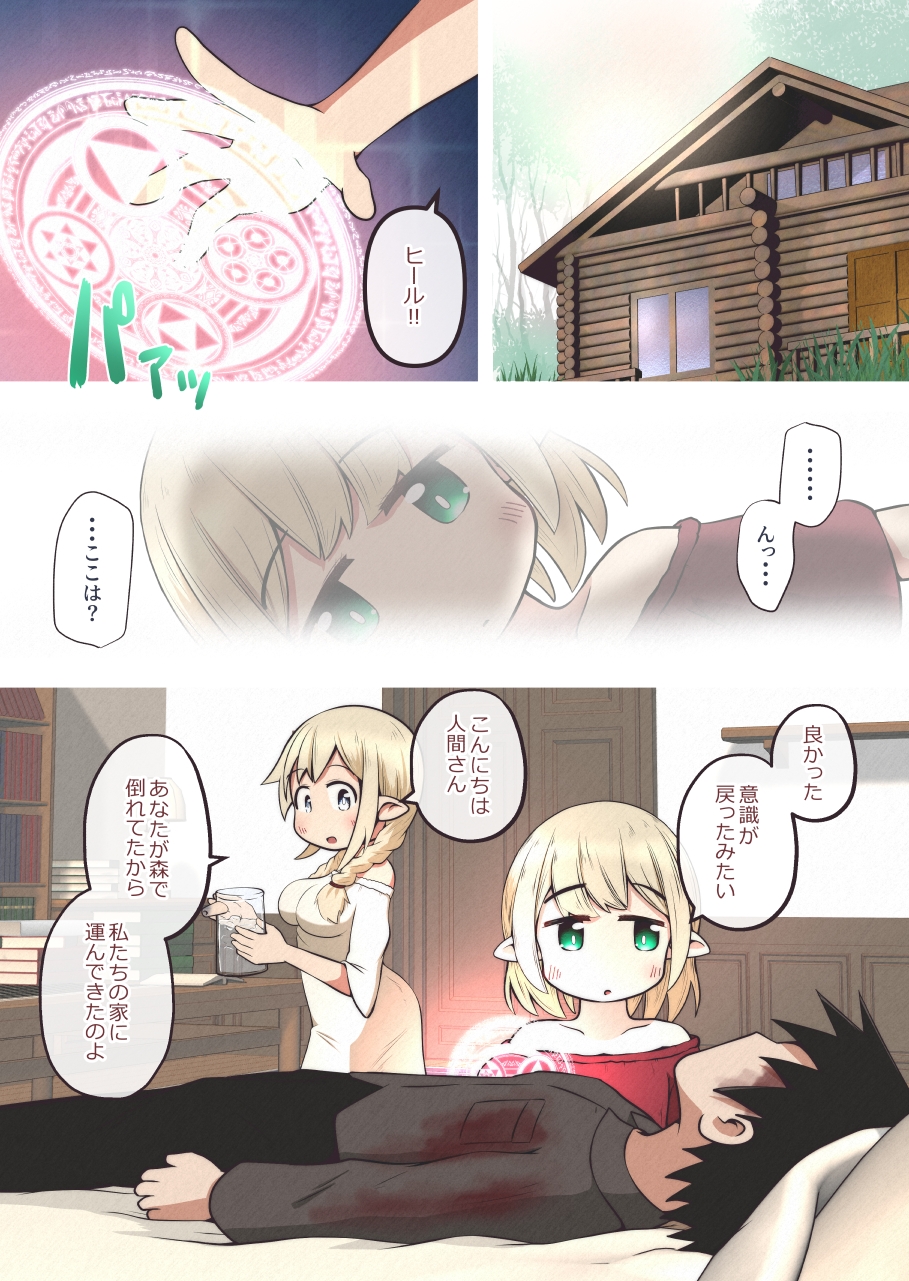 エルフの姉妹に助けられた冒険者が性奴○にされるお話