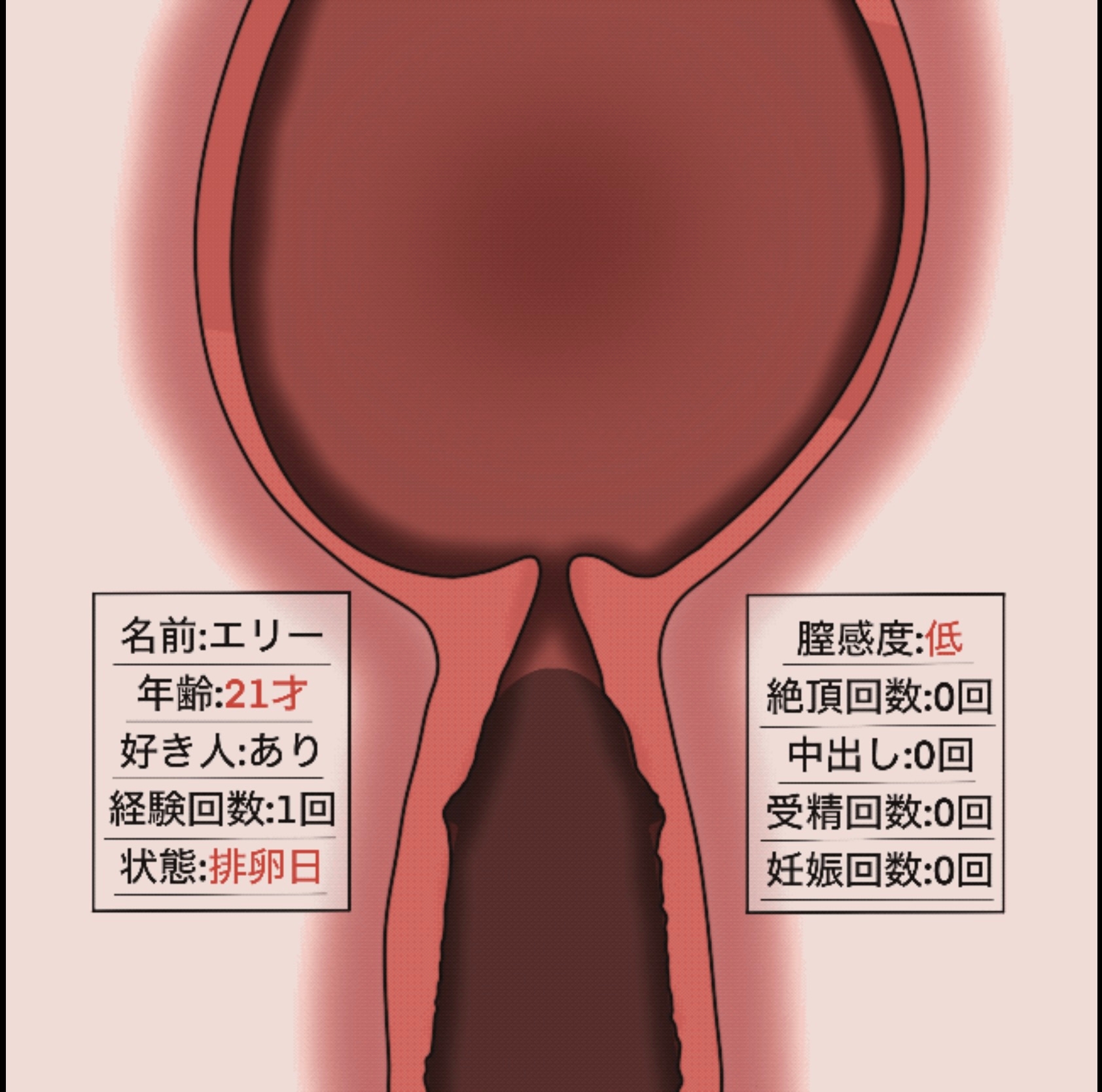 動く‼︎妊娠もの断面図もの まとめ