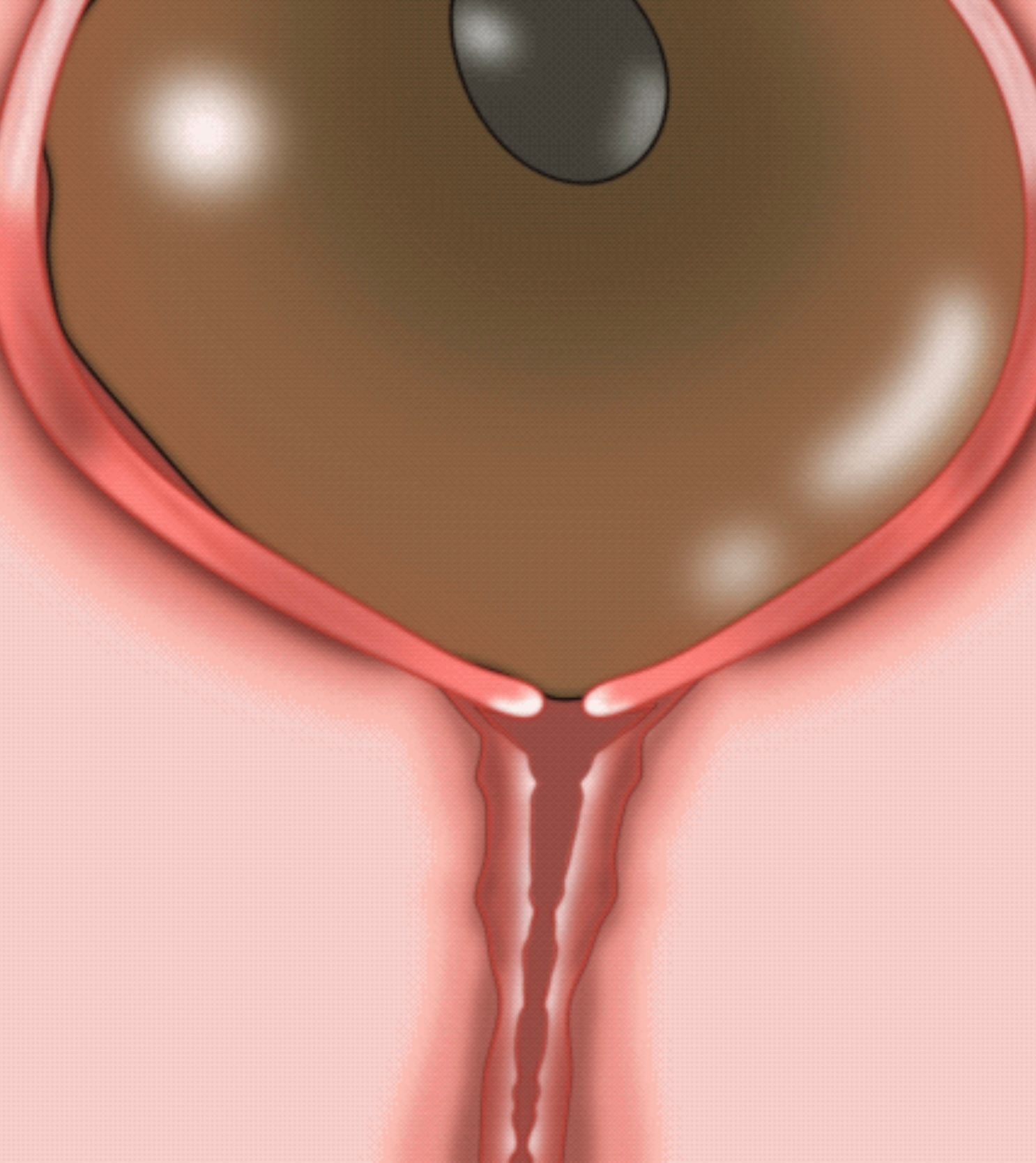 動く‼︎妊娠もの断面図もの まとめ