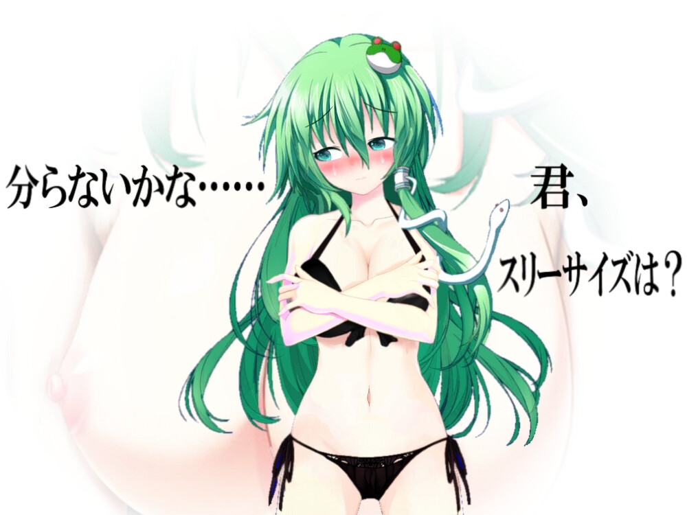 幻想郷の身代わり少女～あの子のためなら私は～