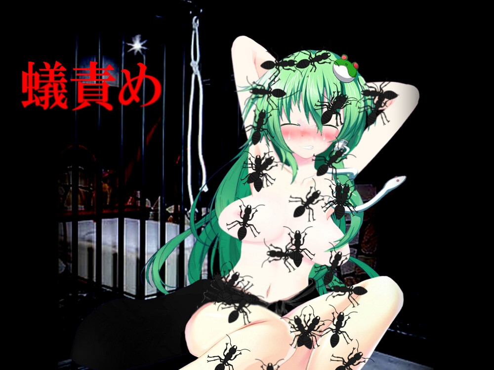 幻想郷の身代わり少女～あの子のためなら私は～