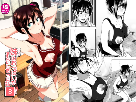 【英語版】妹のおっぱいがまるだしだった話3
