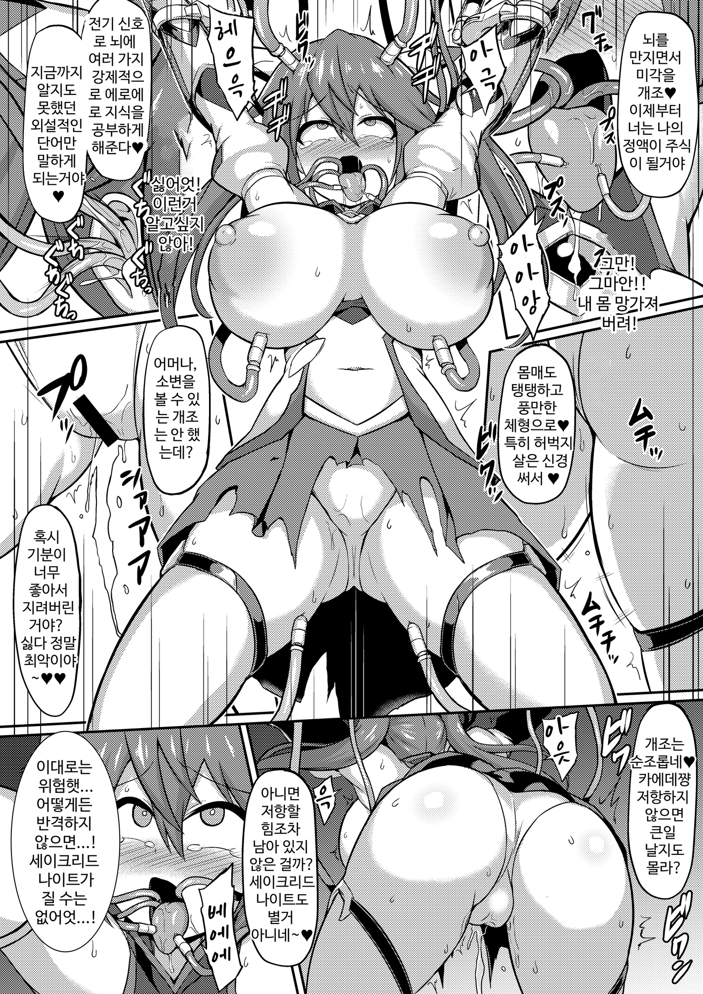 【韓国語版】聖装煌姫セイクリッドフレア-屈辱の強○服従洗脳-