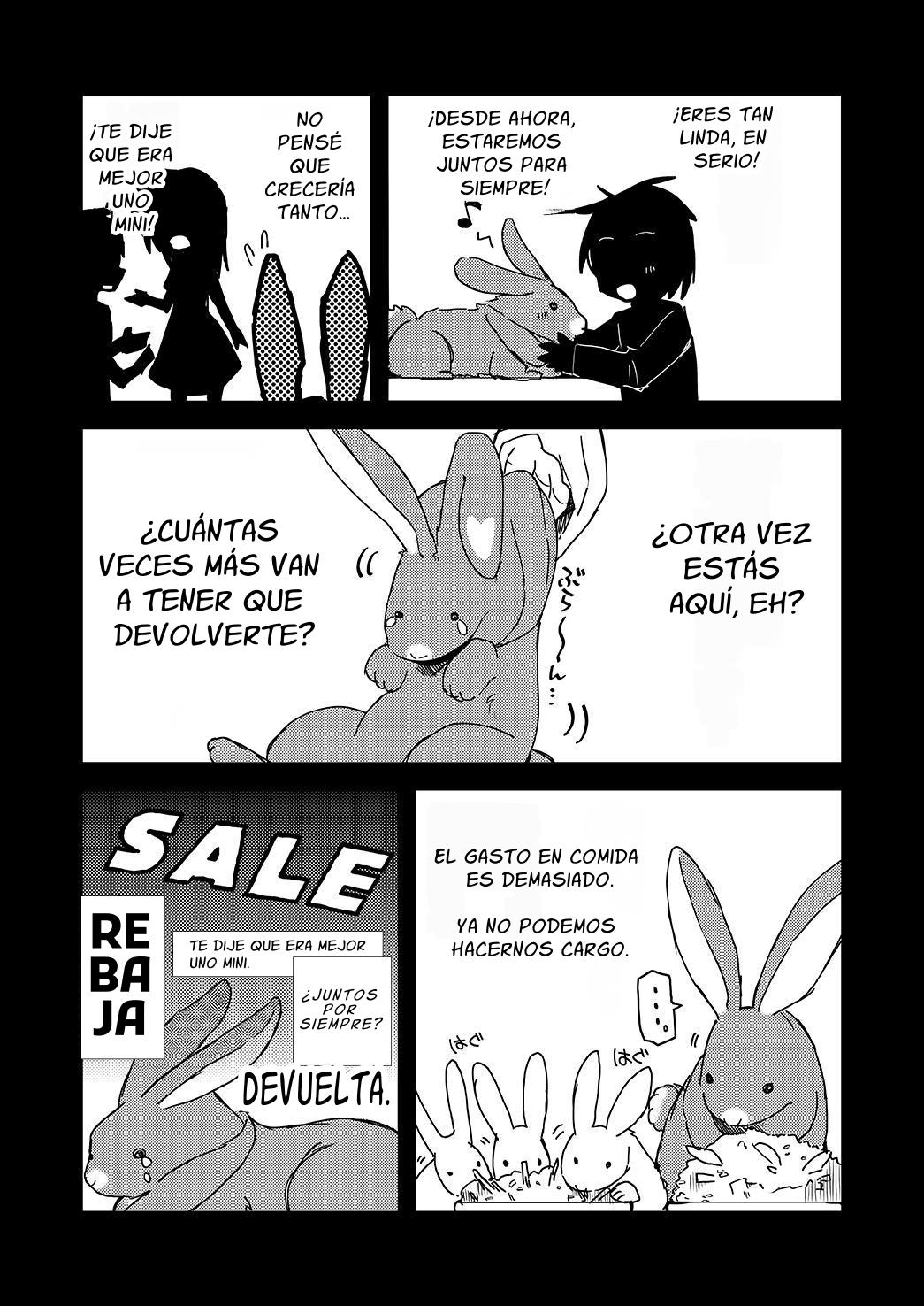 【スペイン語版】返品うさぎ