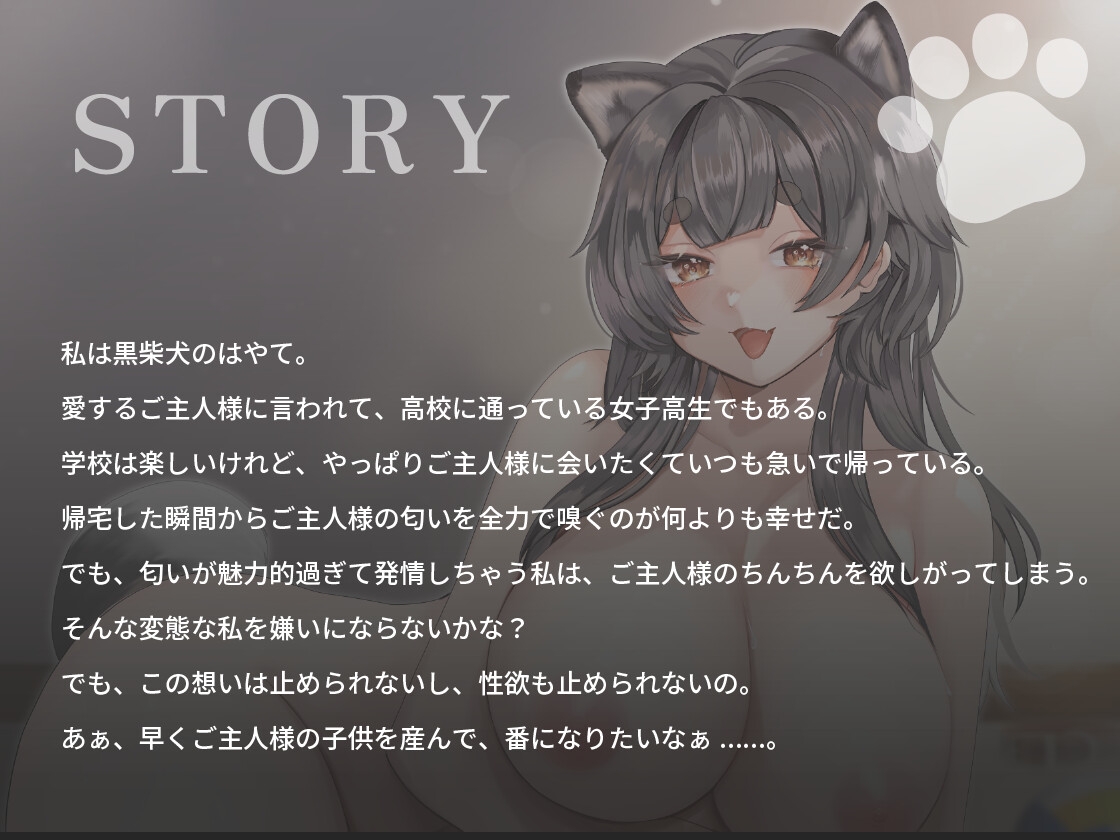 クール系黒柴犬JKはご主人様とあまあま孕ませ交尾をしたい【けもみみ/巨乳/バイノーラル】