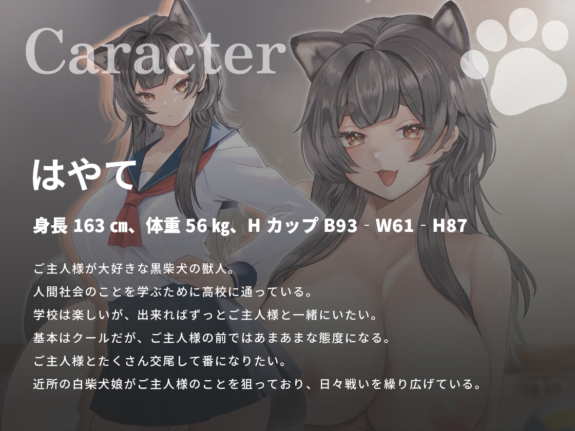 クール系黒柴犬JKはご主人様とあまあま孕ませ交尾をしたい【けもみみ/巨乳/バイノーラル】