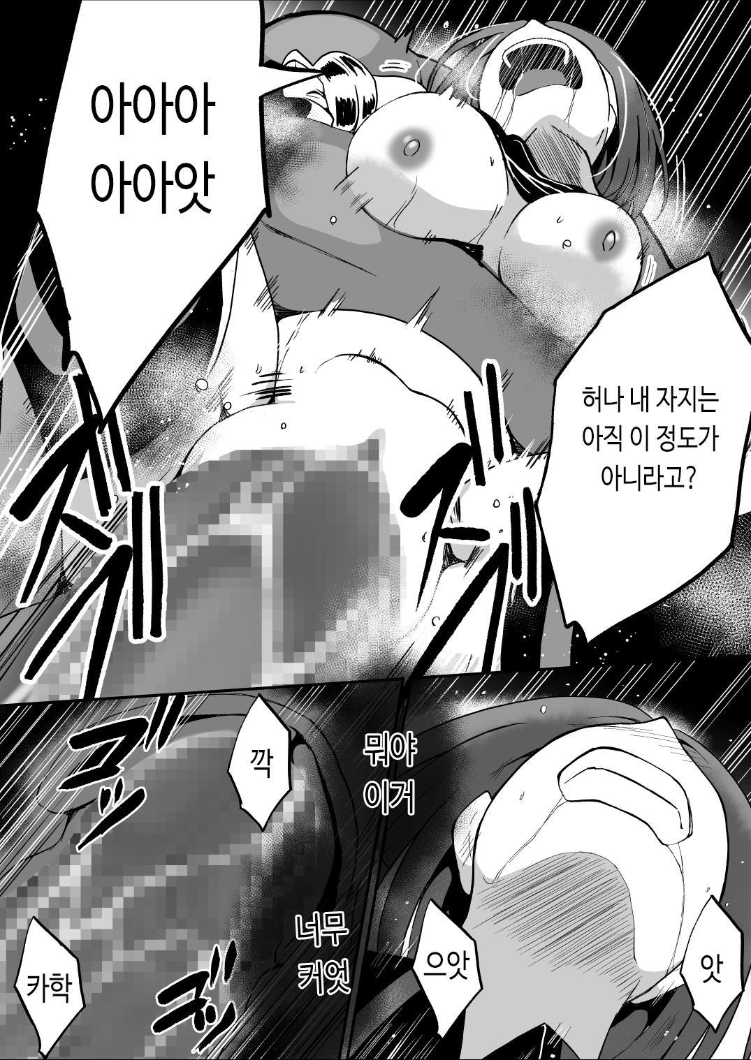 【韓国語版】爛光天使アルテミス～仲間を囚われ 悪魔に侵された少女の末路～