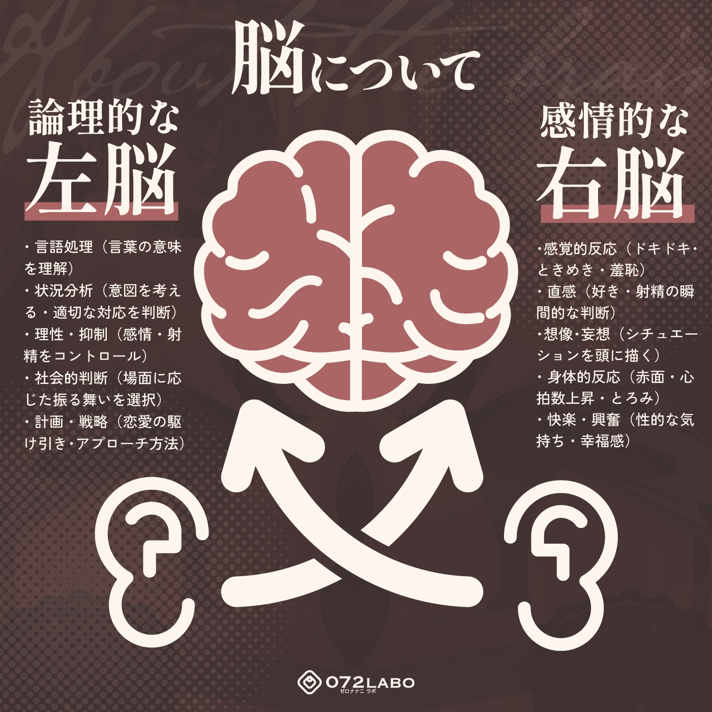 【脳バグ】命令の右耳とドスケベ本心が聞こえる左耳「右耳左耳右脳左脳」〜とても厳しい射精管理官★低音ボイスお姉さんの本音〜【射精管理官の本音】
