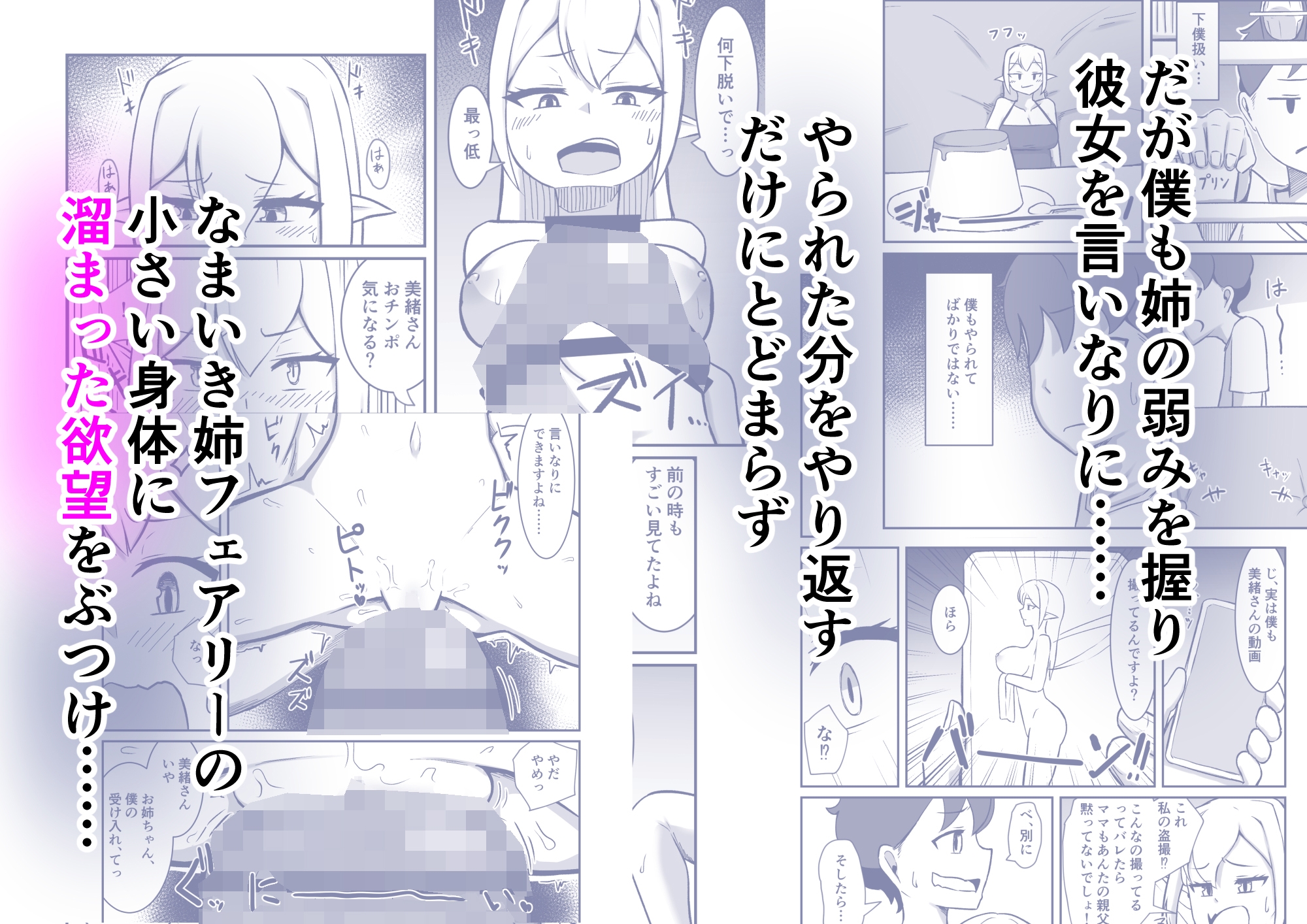 フェアリー族のお姉ちゃんは僕の専用オナホ妖精