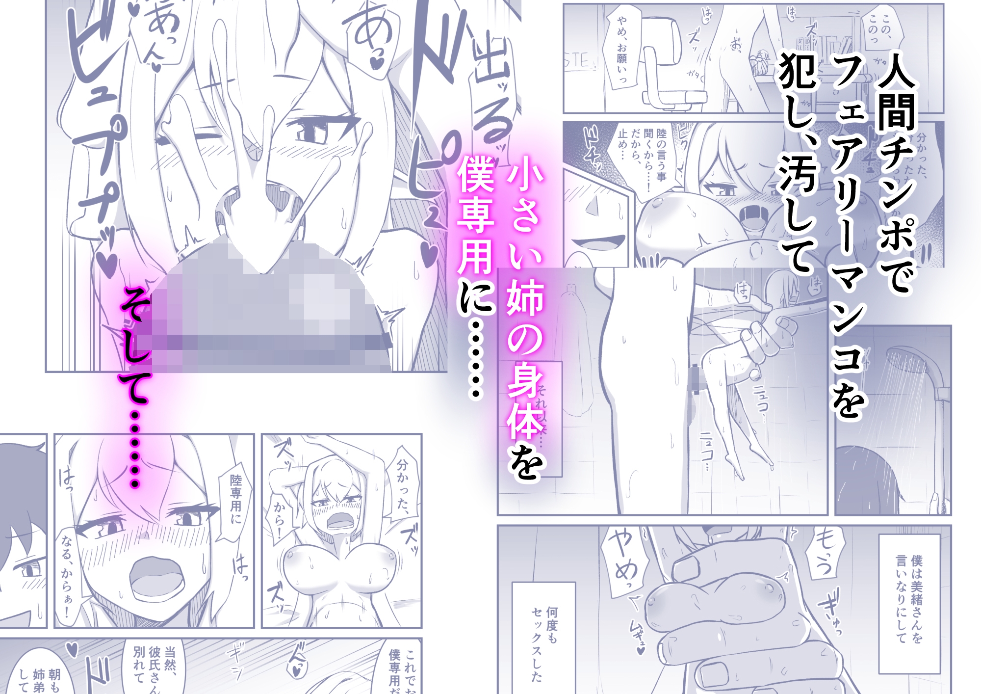 フェアリー族のお姉ちゃんは僕の専用オナホ妖精