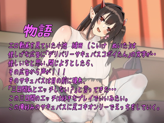 俺好みにサキュバスに色んな足コキをして貰い勃った！