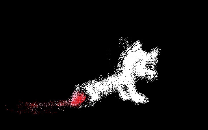 The cat lost half of itself