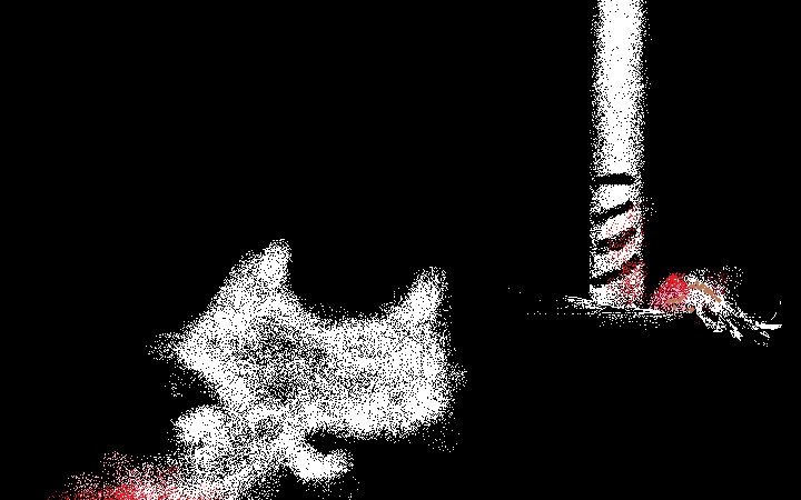 The cat lost half of itself