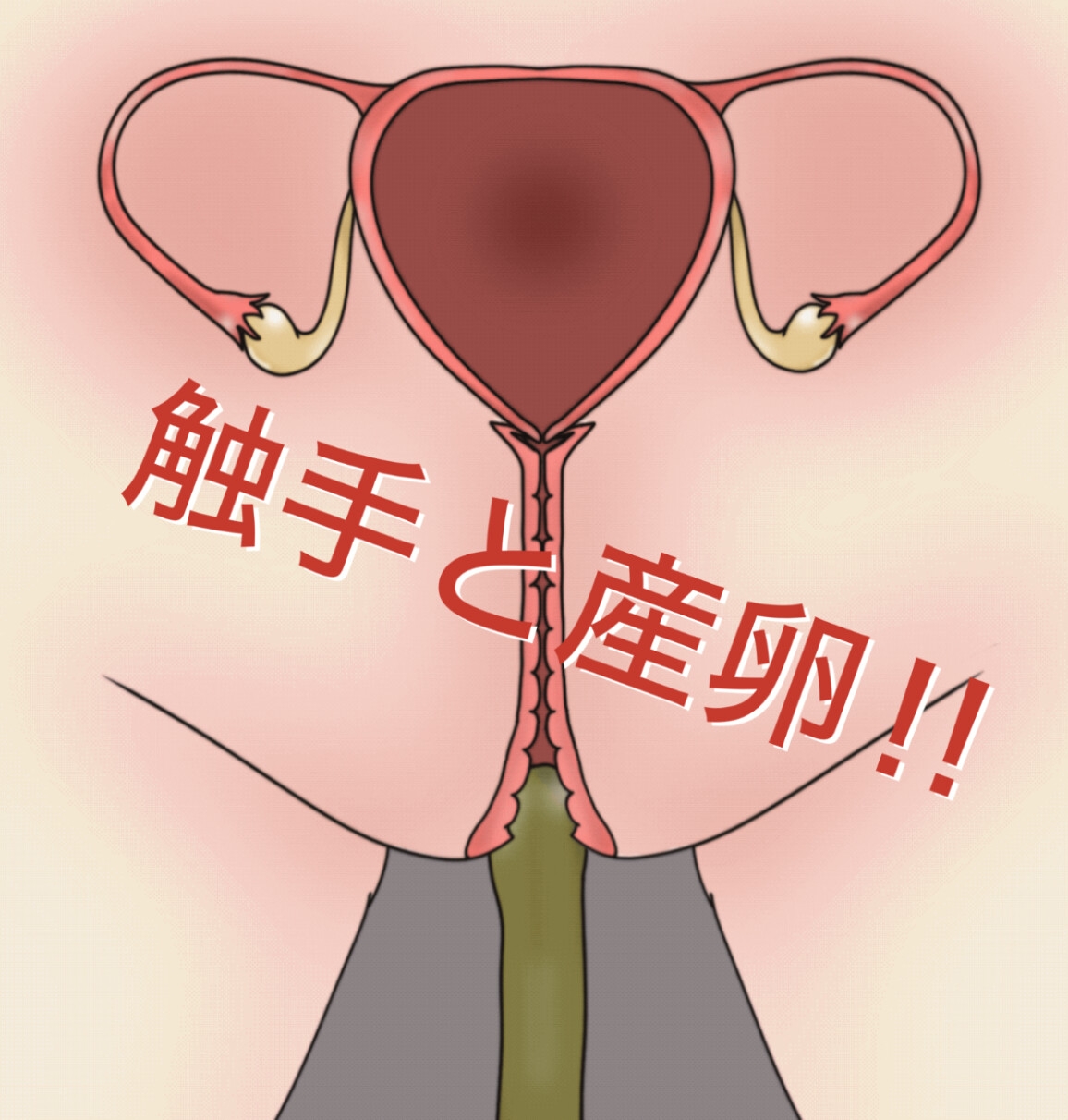 子宮断面図 〜産卵と触手‼︎〜