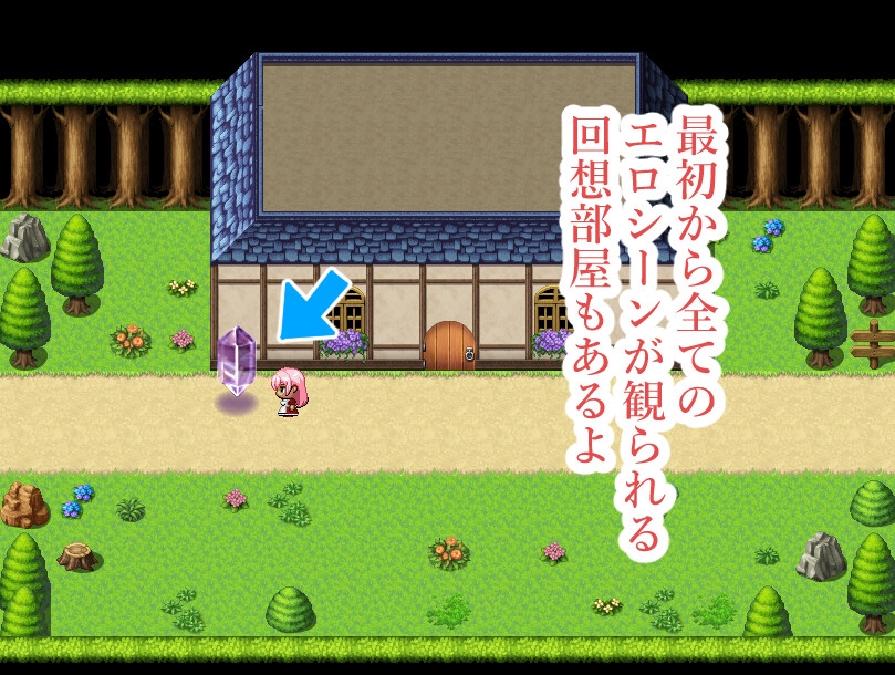 見習い魔術師の薬草探し