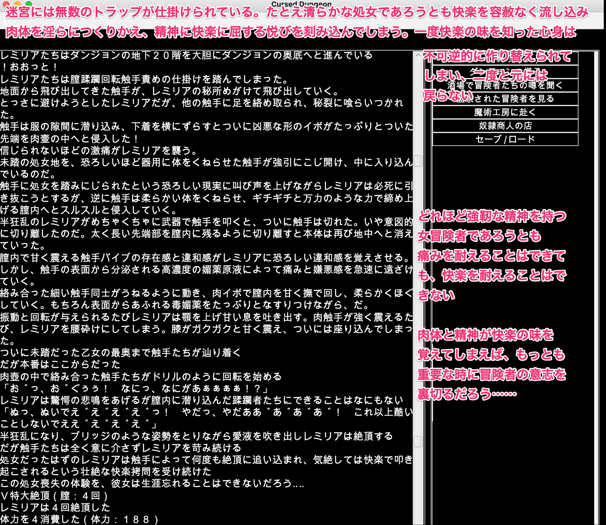 幻想魔物姦蹂躙迷宮〜敗北女傑の堕ちゆくさきは底のない闇の奥〜