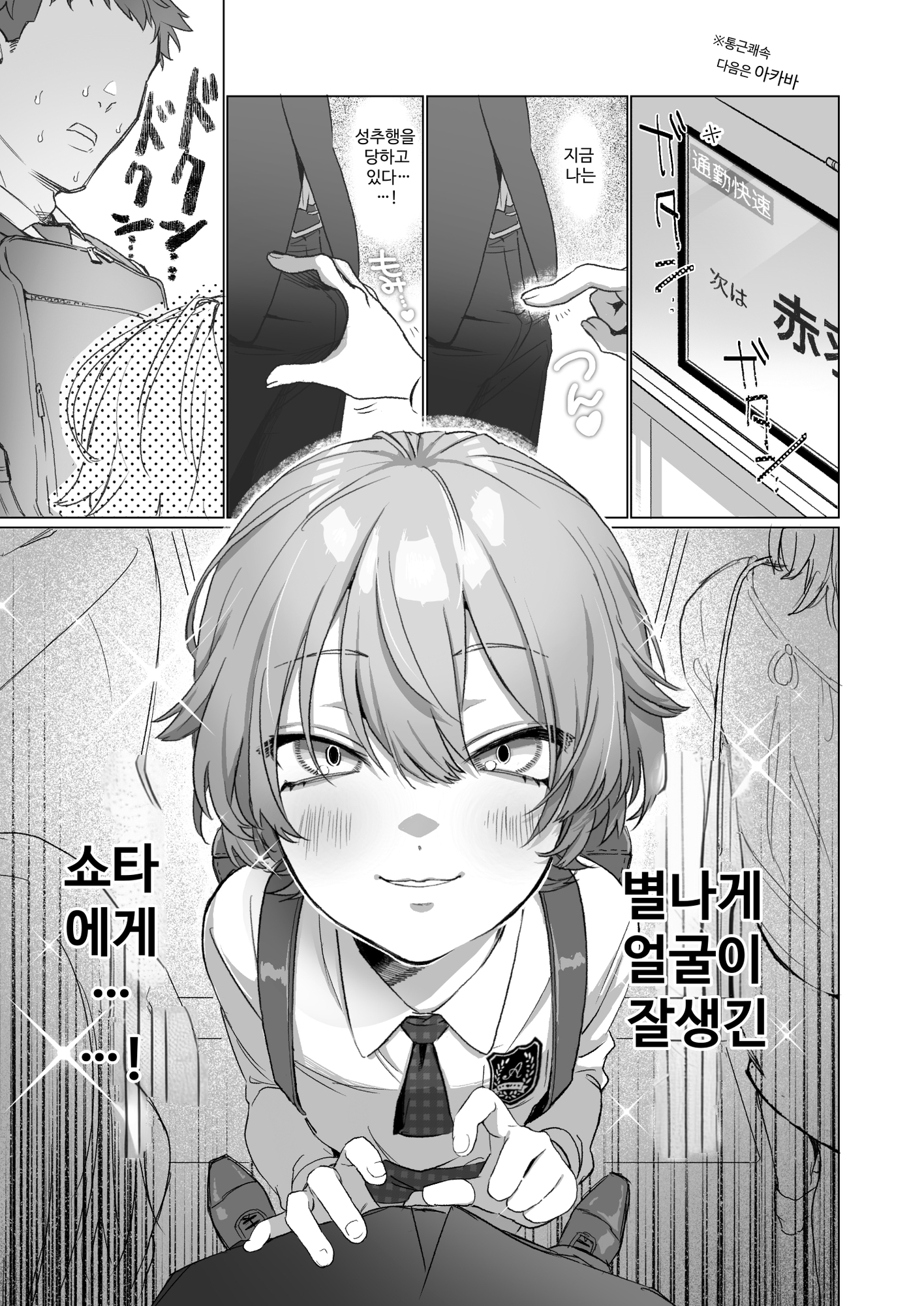 【韓国語版】やたら顔の良いショタに痴○されて困っています！