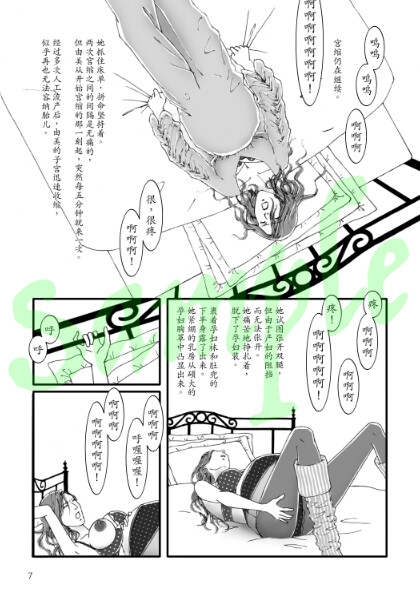 孕妇画本 第三集 第四集(简体字)