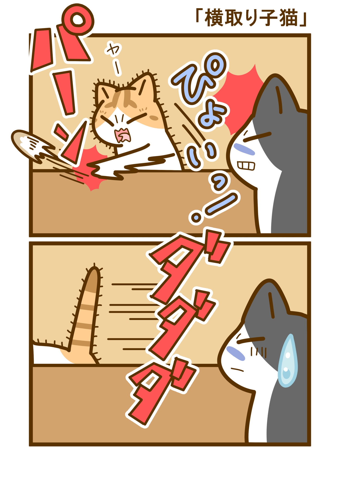 毎日毛づくろい総集編2