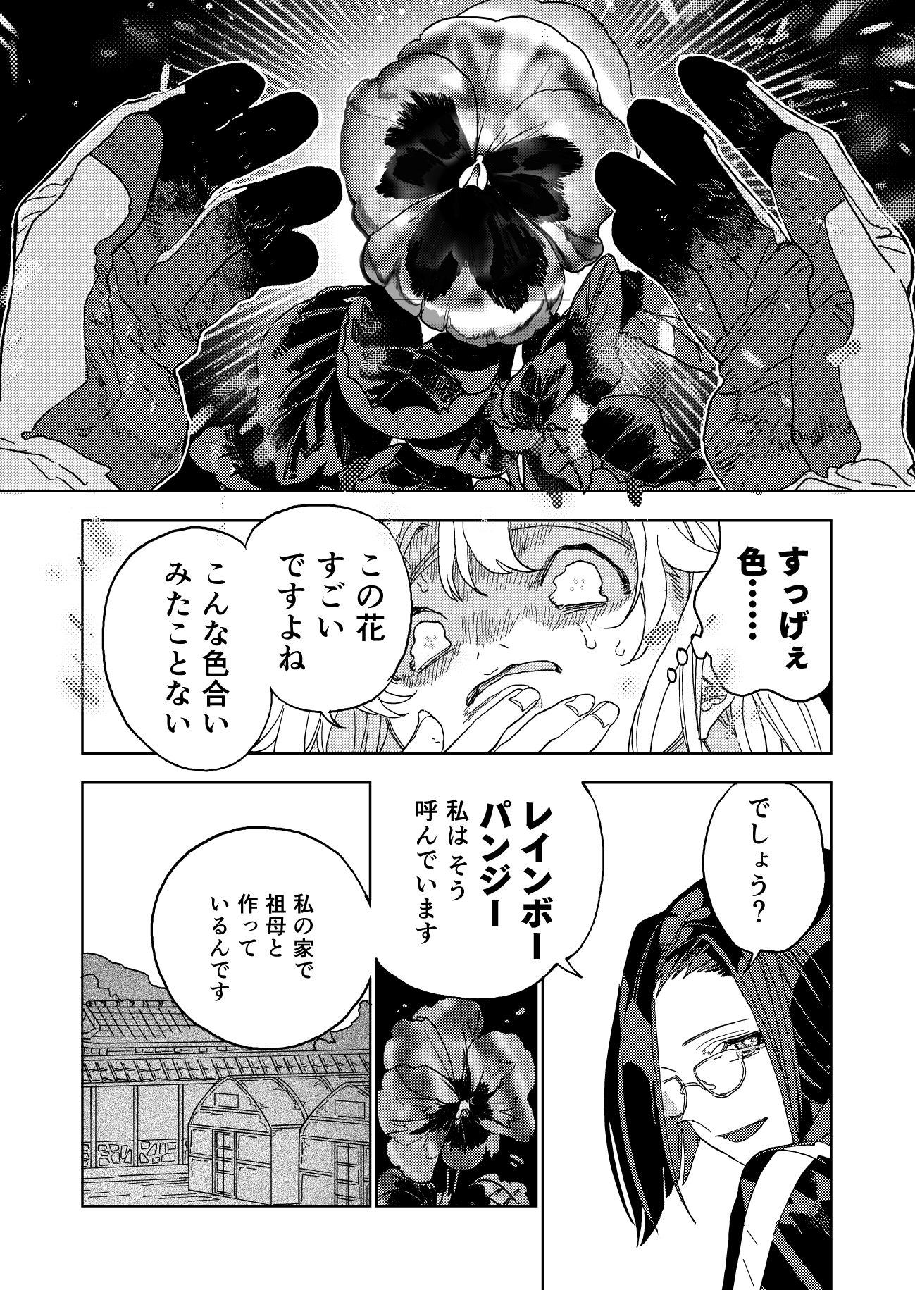 レインボーパンジー