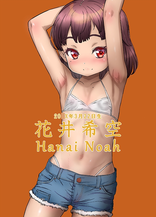 the catalogue colourpallet3