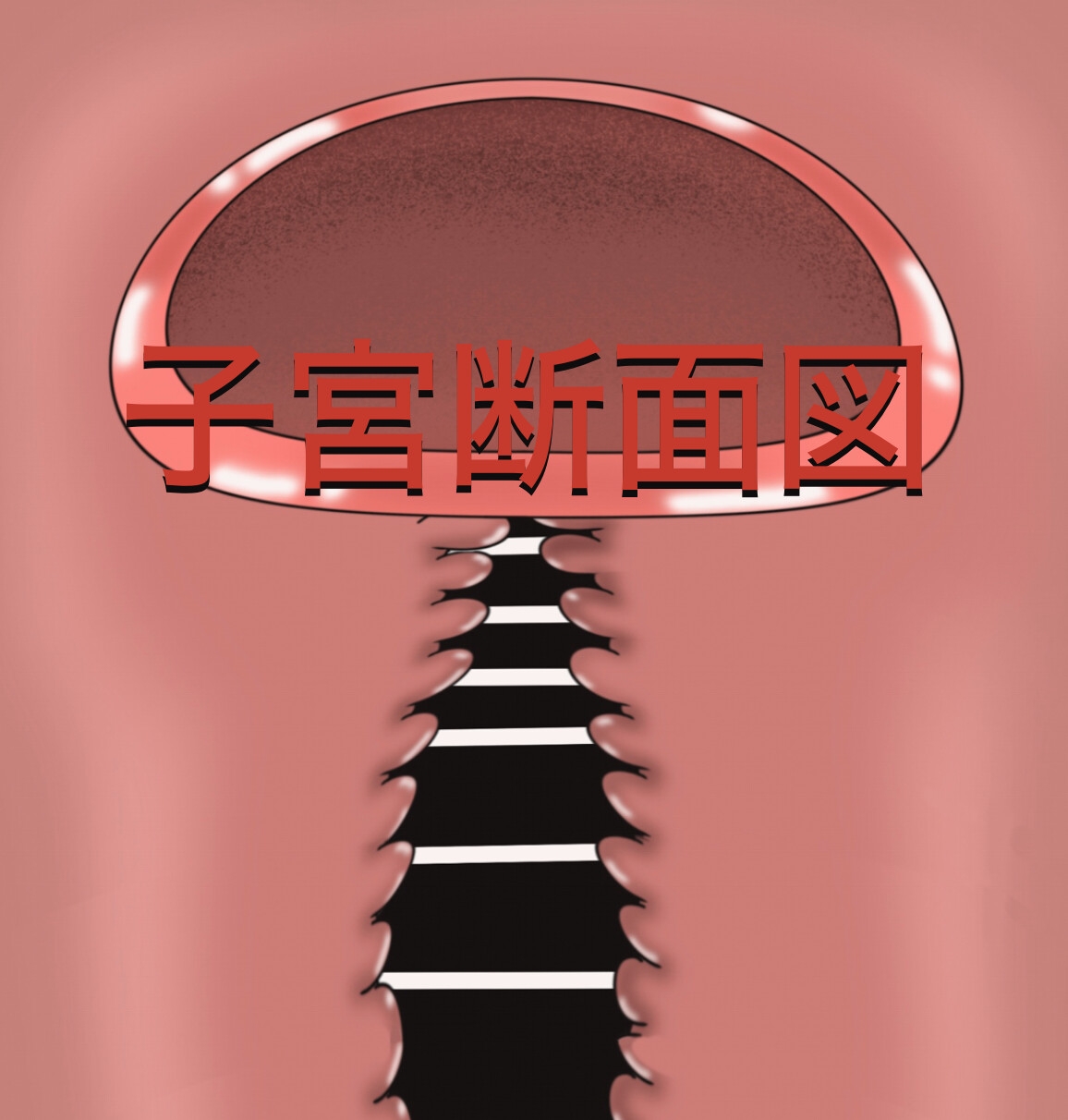 触手メイン 色々アニメーション