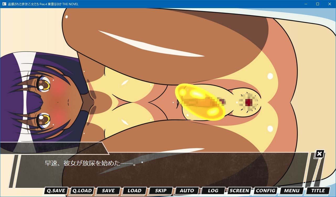 盗撮された排泄乙女たち Pee.4 東雲はるか THE NOVEL