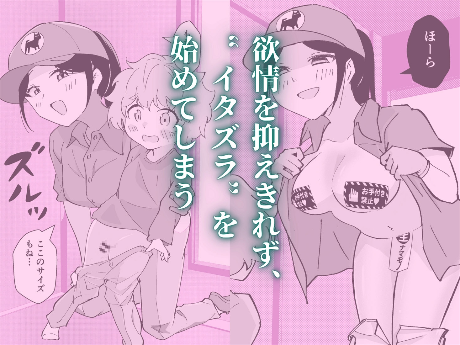 宅配員のおねえさんがやってきた 総集編(R18版)