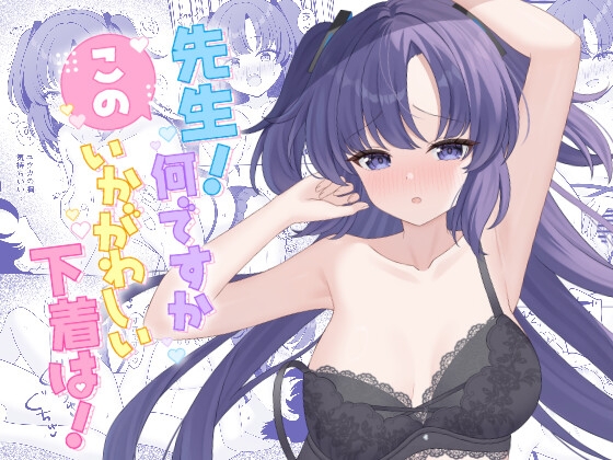 先生！何ですかこのいかがわしい下着は！