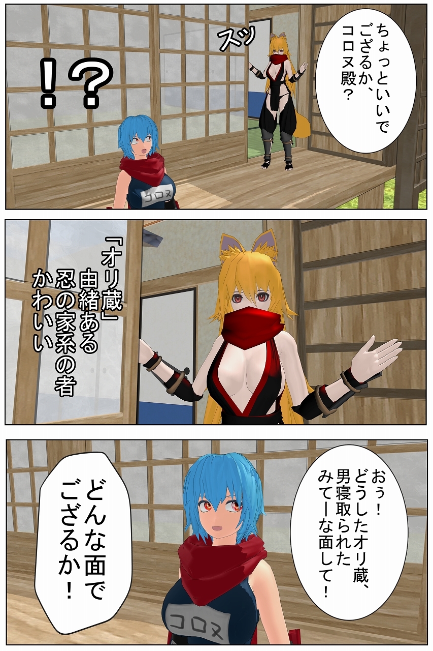 「忍んでくださいくのいちさん」