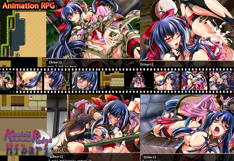 Kunoichi Revenge Pledge Hibari