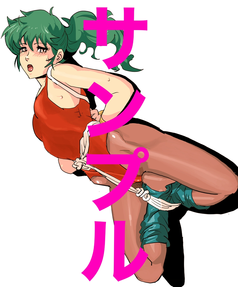 20世紀アニメキャラSM緊縛画集