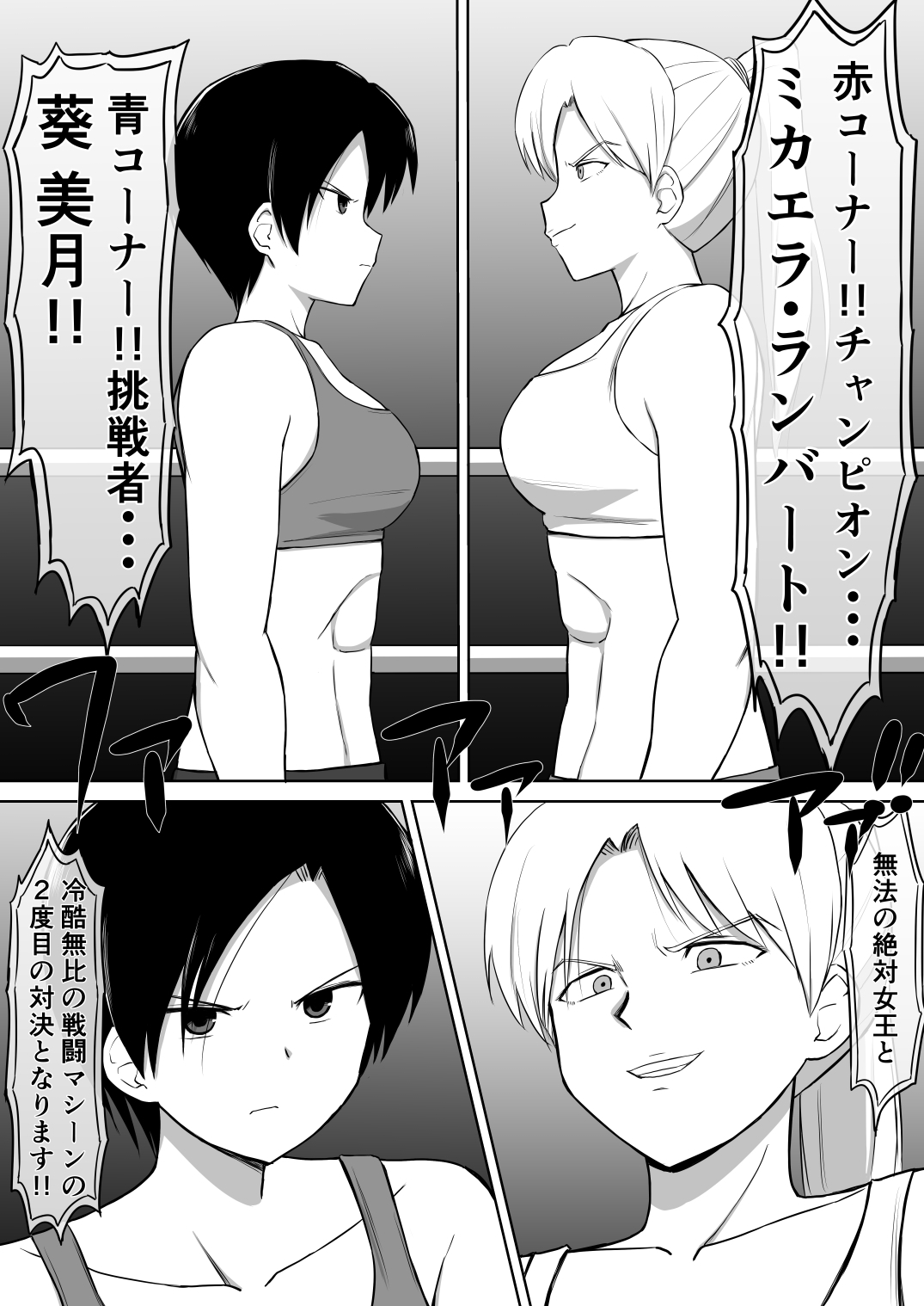 ハルカA NEW LEVEL2