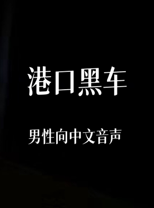 港口黑车