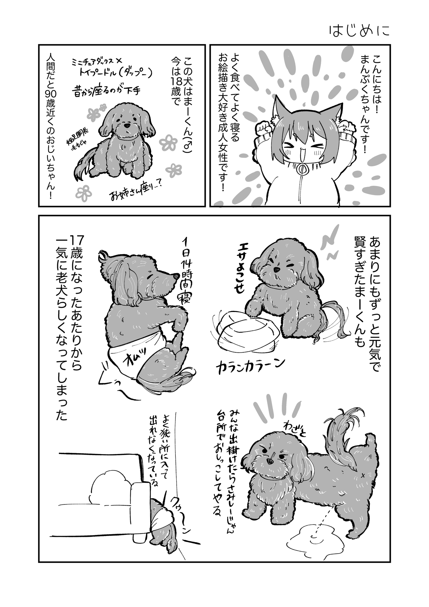はじめての老犬介護日記