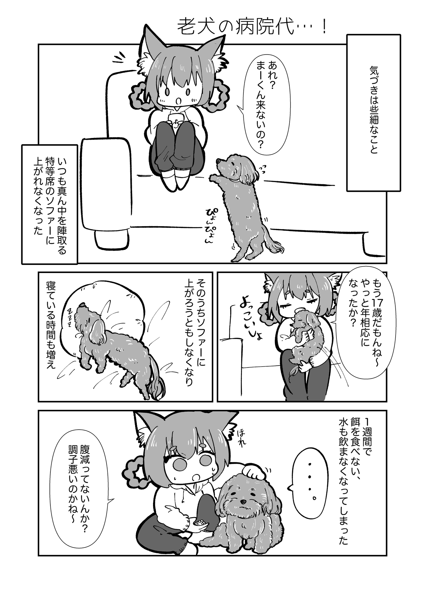 はじめての老犬介護日記