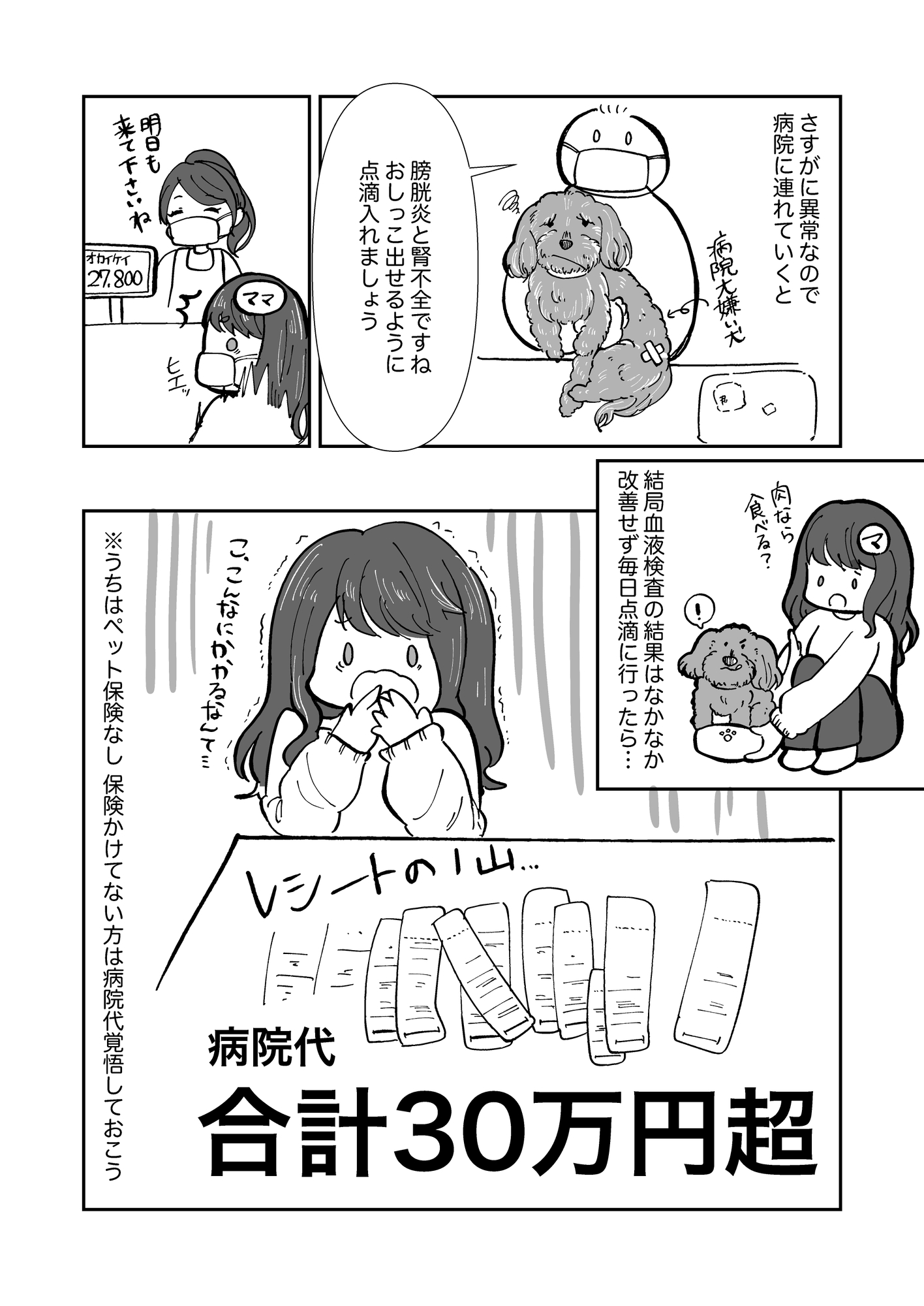 はじめての老犬介護日記
