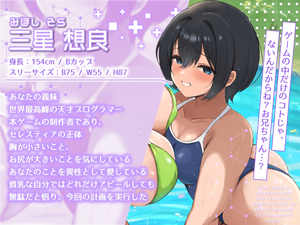 【2時間40分】ゲーム世界に閉じ込められた俺は爆乳エルフが妹と知らず孕ませエッチしまくった話【バイノーラル/兄妹/ファンタジー】