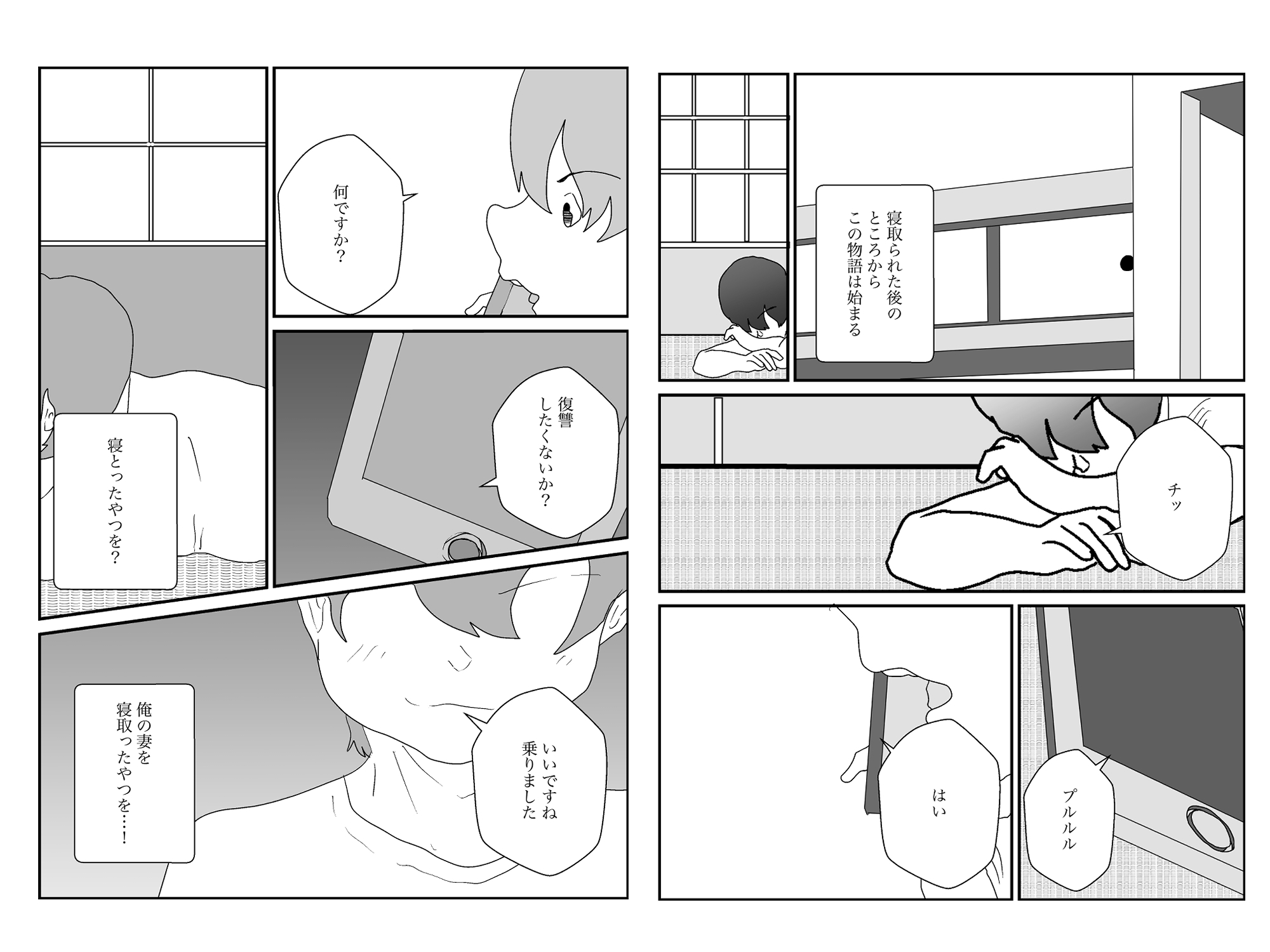 寝取られた男、寝取り返す