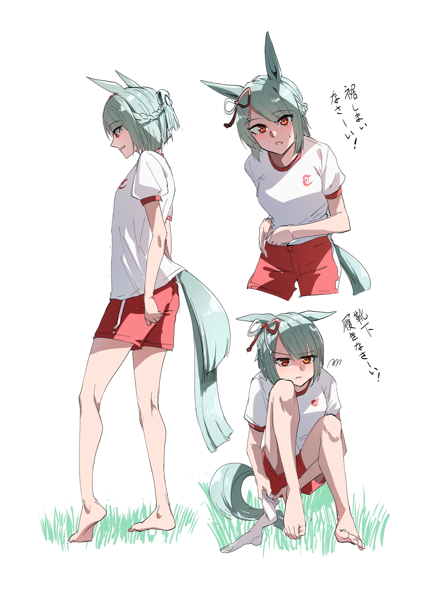 フジマサマーチ詰め合わせ