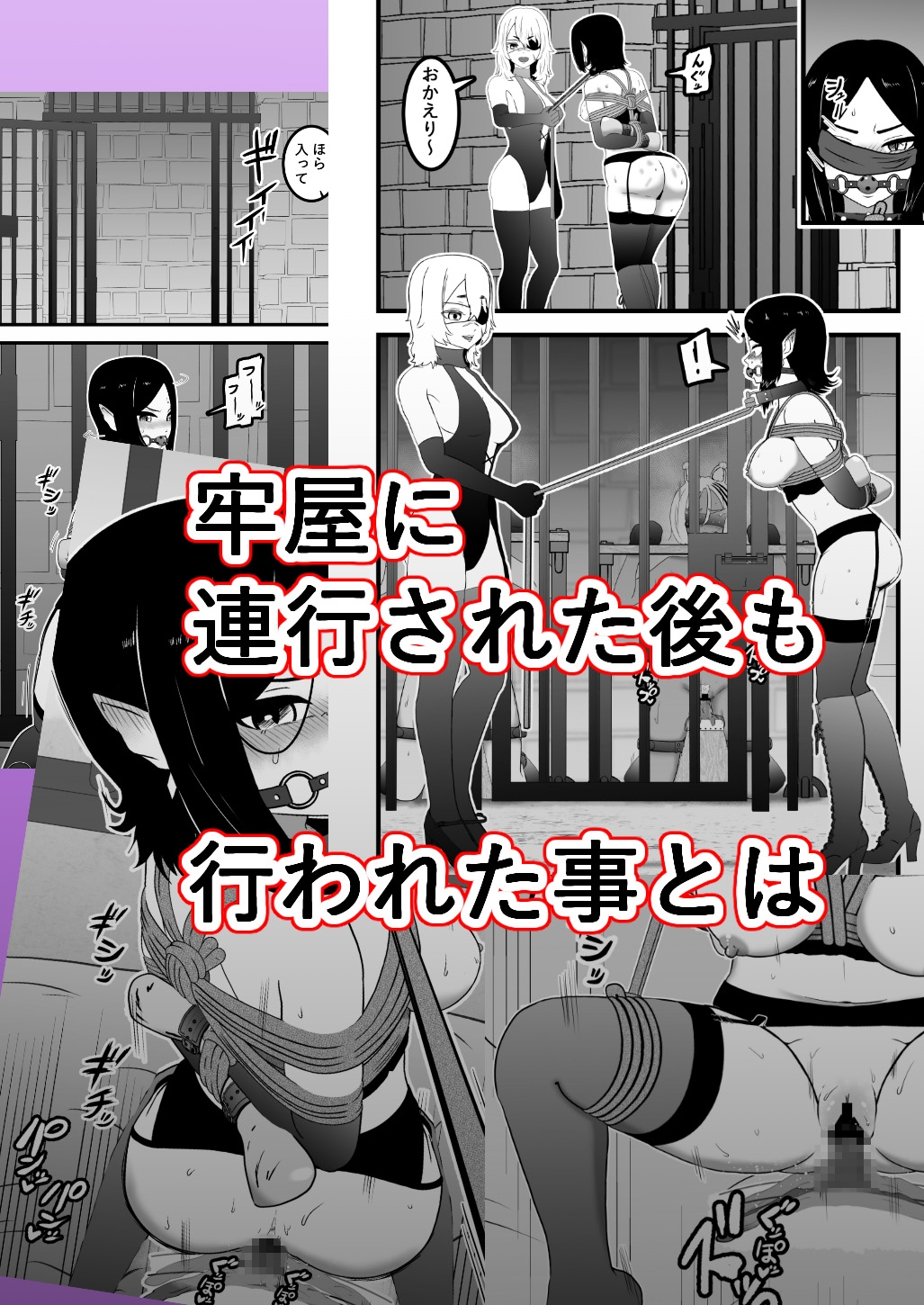 ヴァンパレイド9 ～吸血鬼 三姉妹 脱走編～