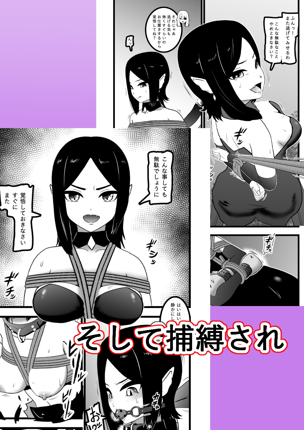 ヴァンパレイド9 ～吸血鬼 三姉妹 脱走編～