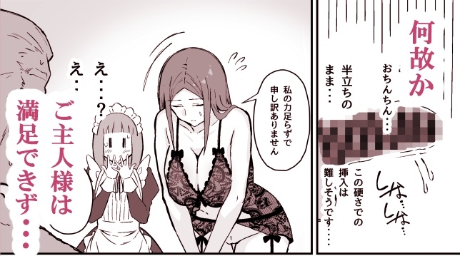 憧れの先輩メイド長の夜伽を見学