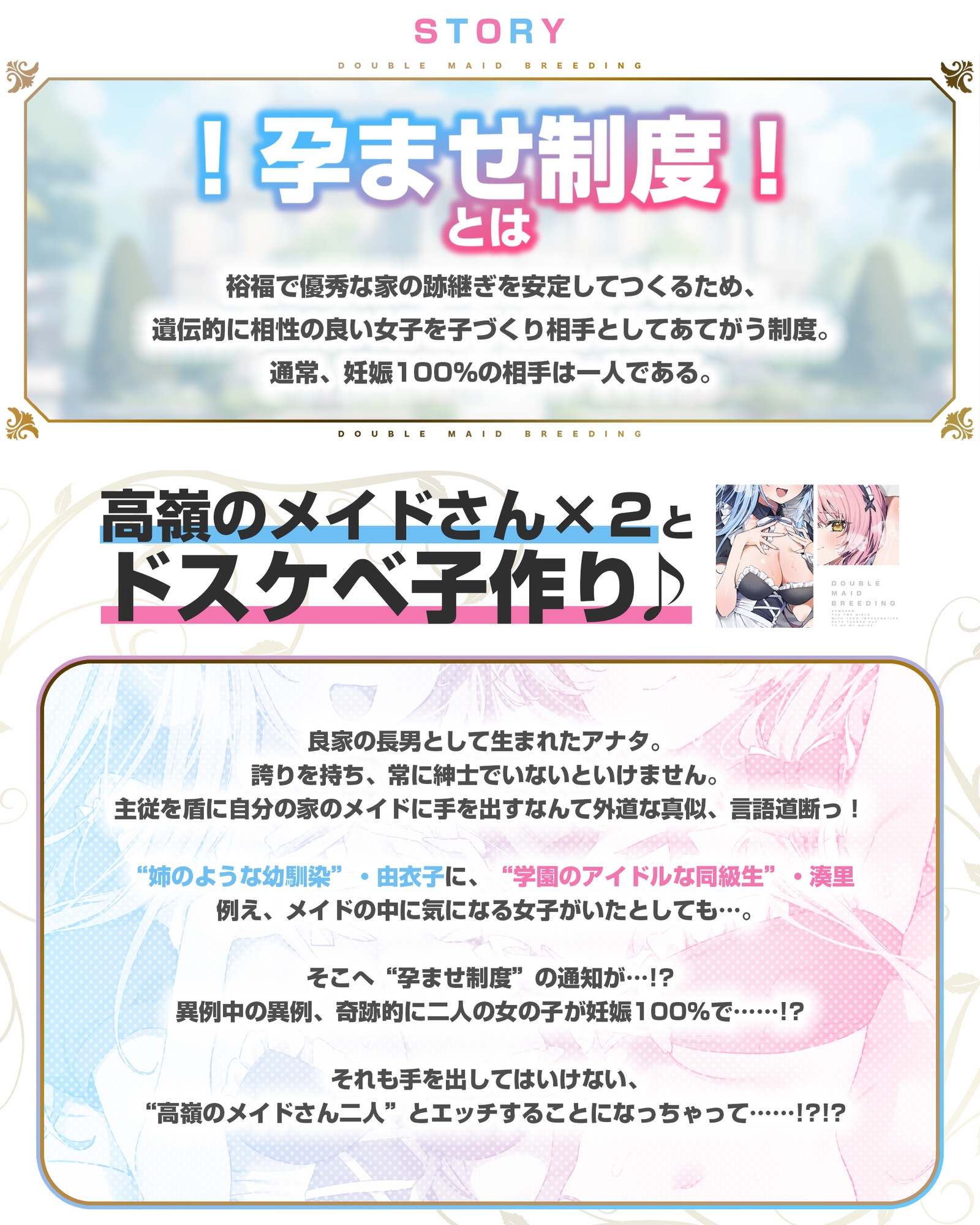 孕ませWメイド ～妊娠100%の女の子が奇跡的に僕のメイドさん二人共だった件について～《!早期購入特典!》