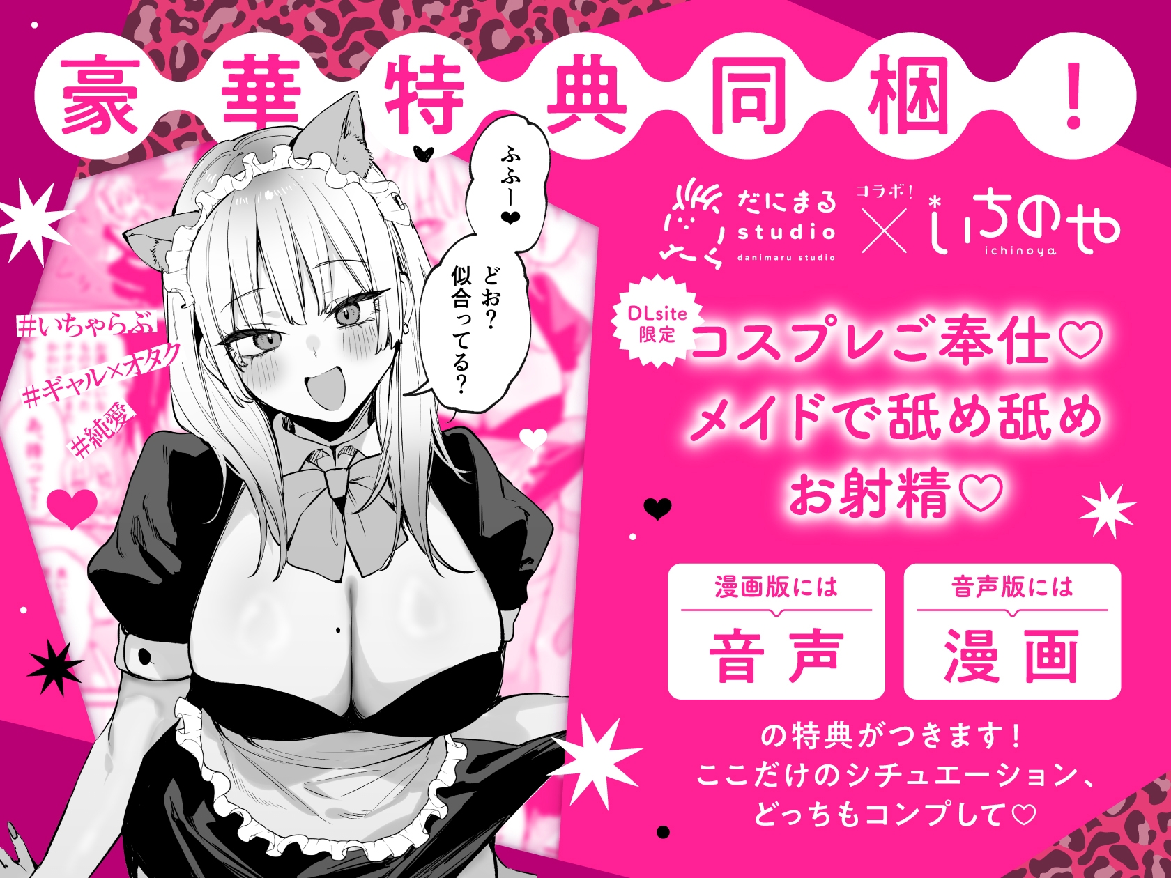 一晩泊めてよ、オタクくん 音声編