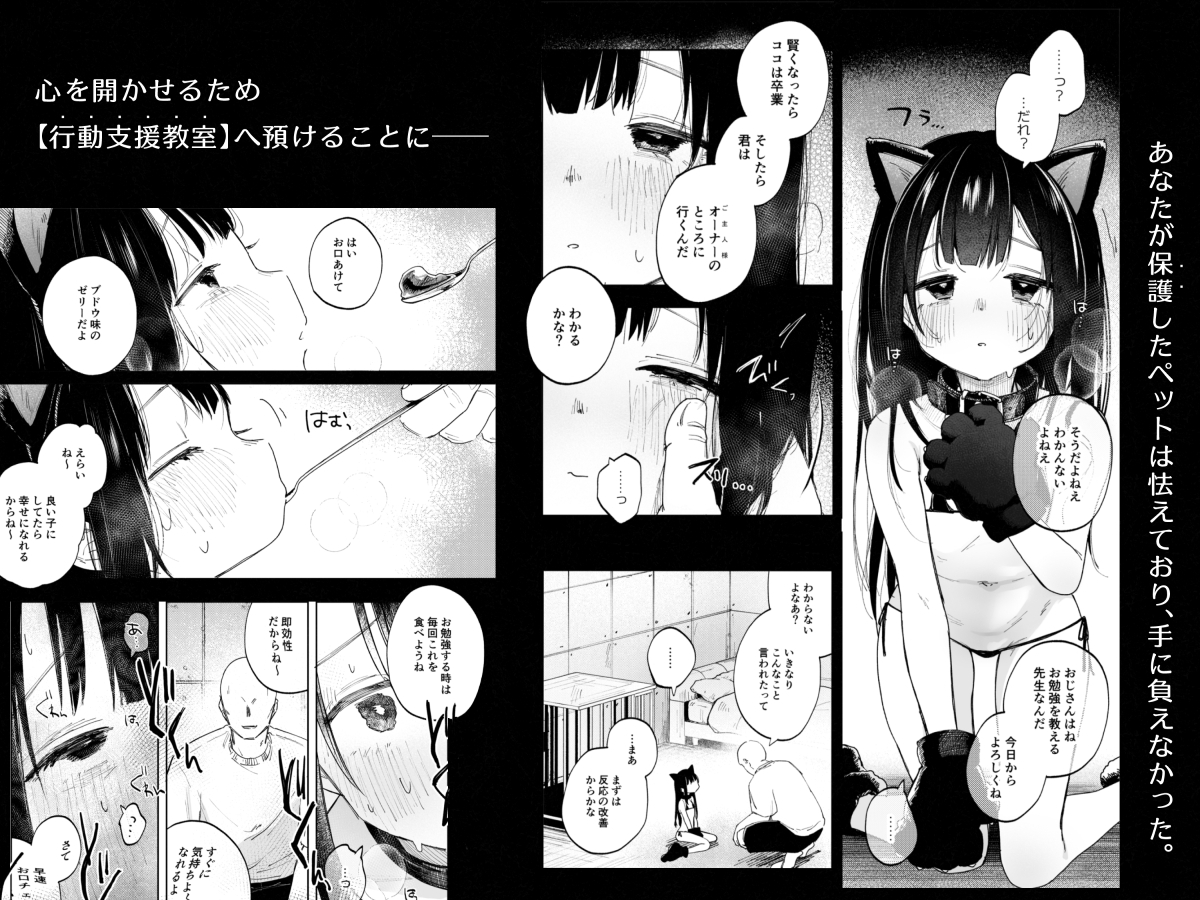 調整記録 ご主人様(あなた)の元へ届くまで