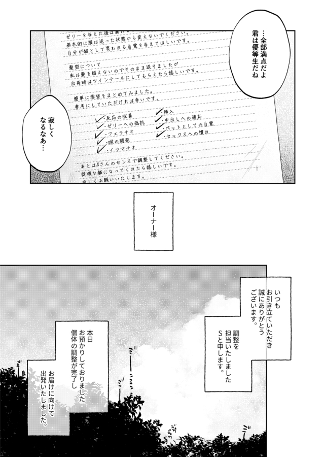 調整記録 ご主人様(あなた)の元へ届くまで