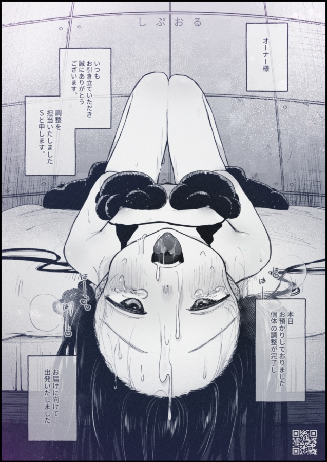 調整記録 ご主人様(あなた)の元へ届くまで