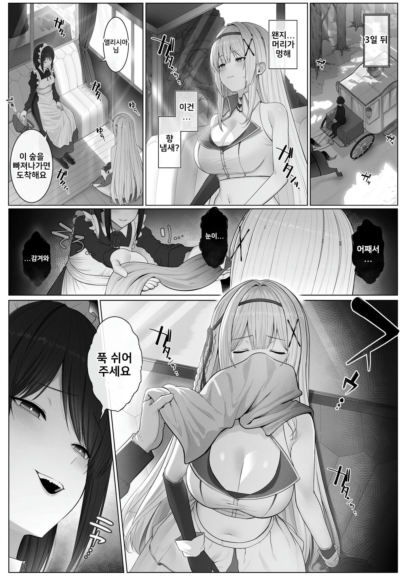 【韓国語版】聖母体質 〜母乳が出る体質になり変態侍従と悪徳貴族に弄ばれる姫騎士物語〜