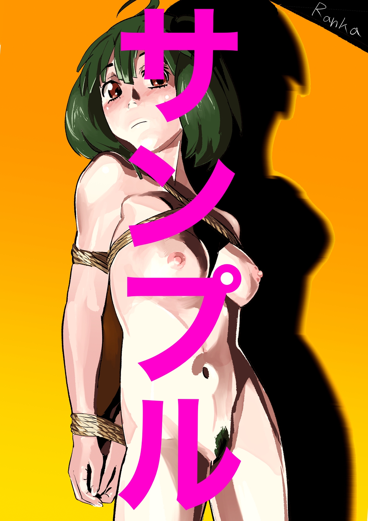 アニメキャラクターSM・緊縛・ボンデージ全集